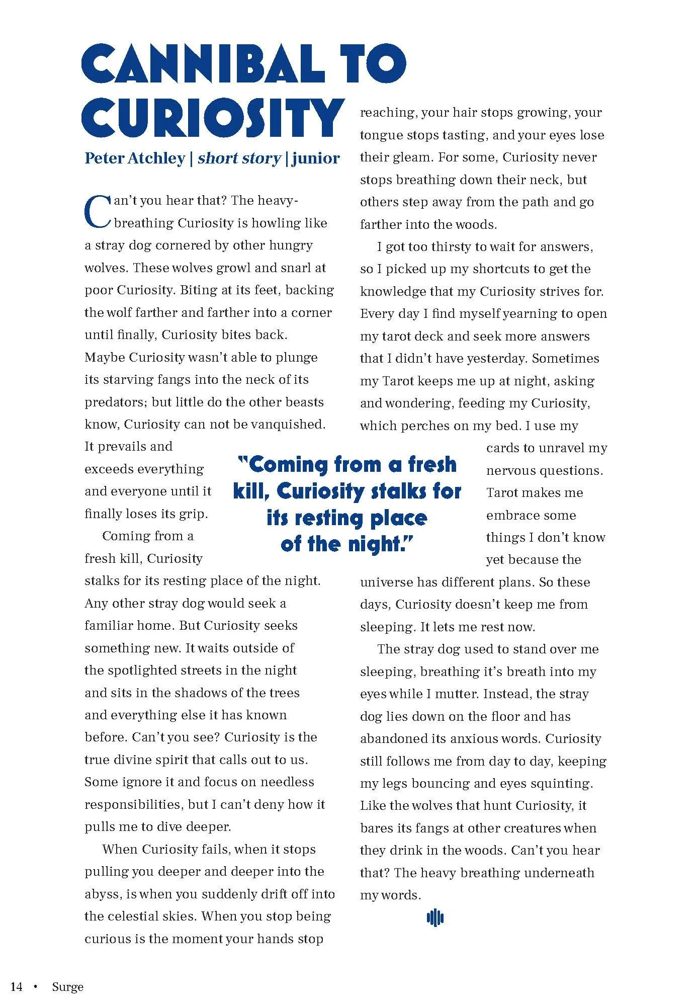 Sound&Color-FInalInside3 copy 4.jpg
