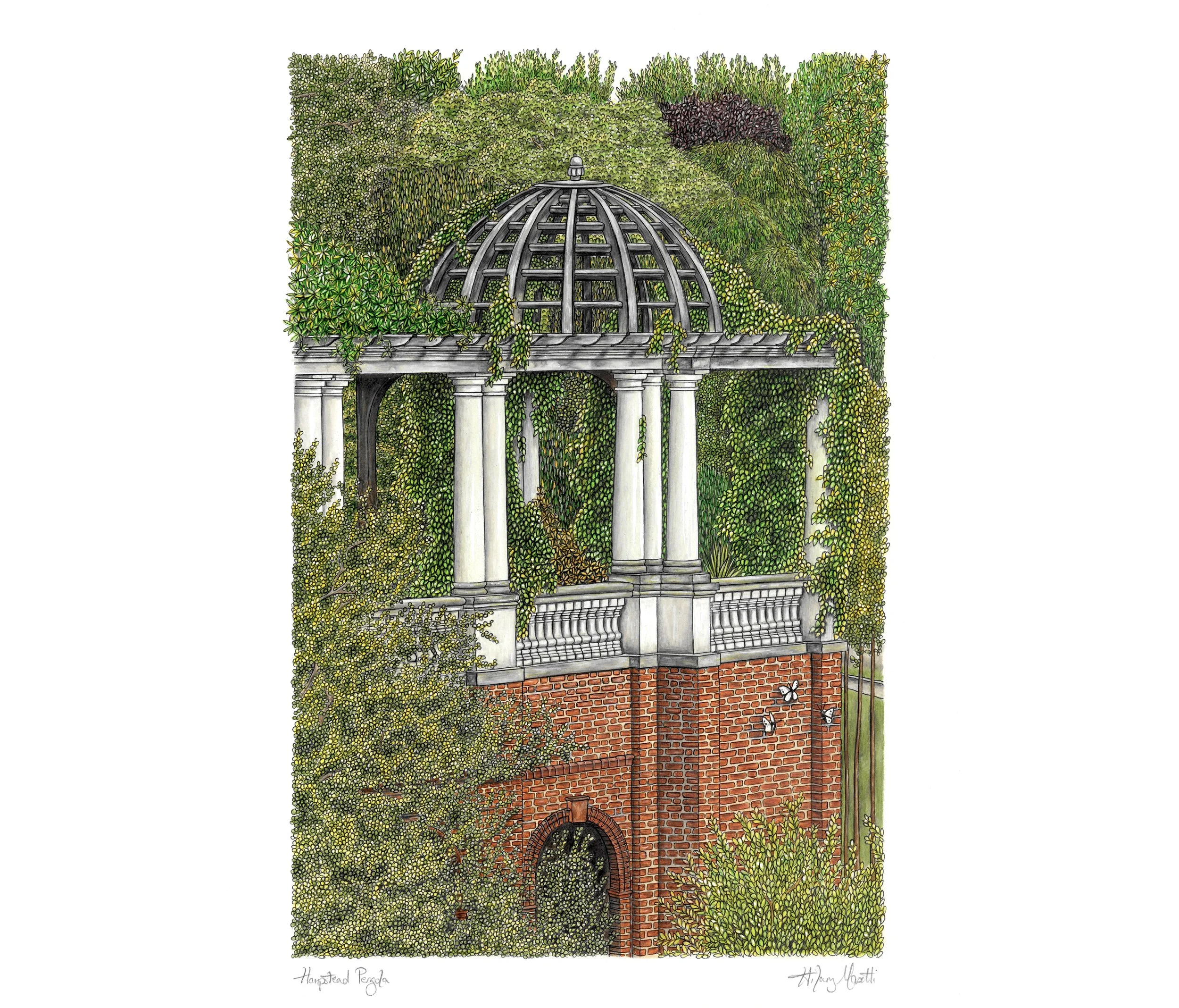 Hampstead Pergola by Hilary Sketches (artist Hilary Masetti) drawn with ink and pencil. Giclee prints are available to buy at www.hilarysketches.co.uk