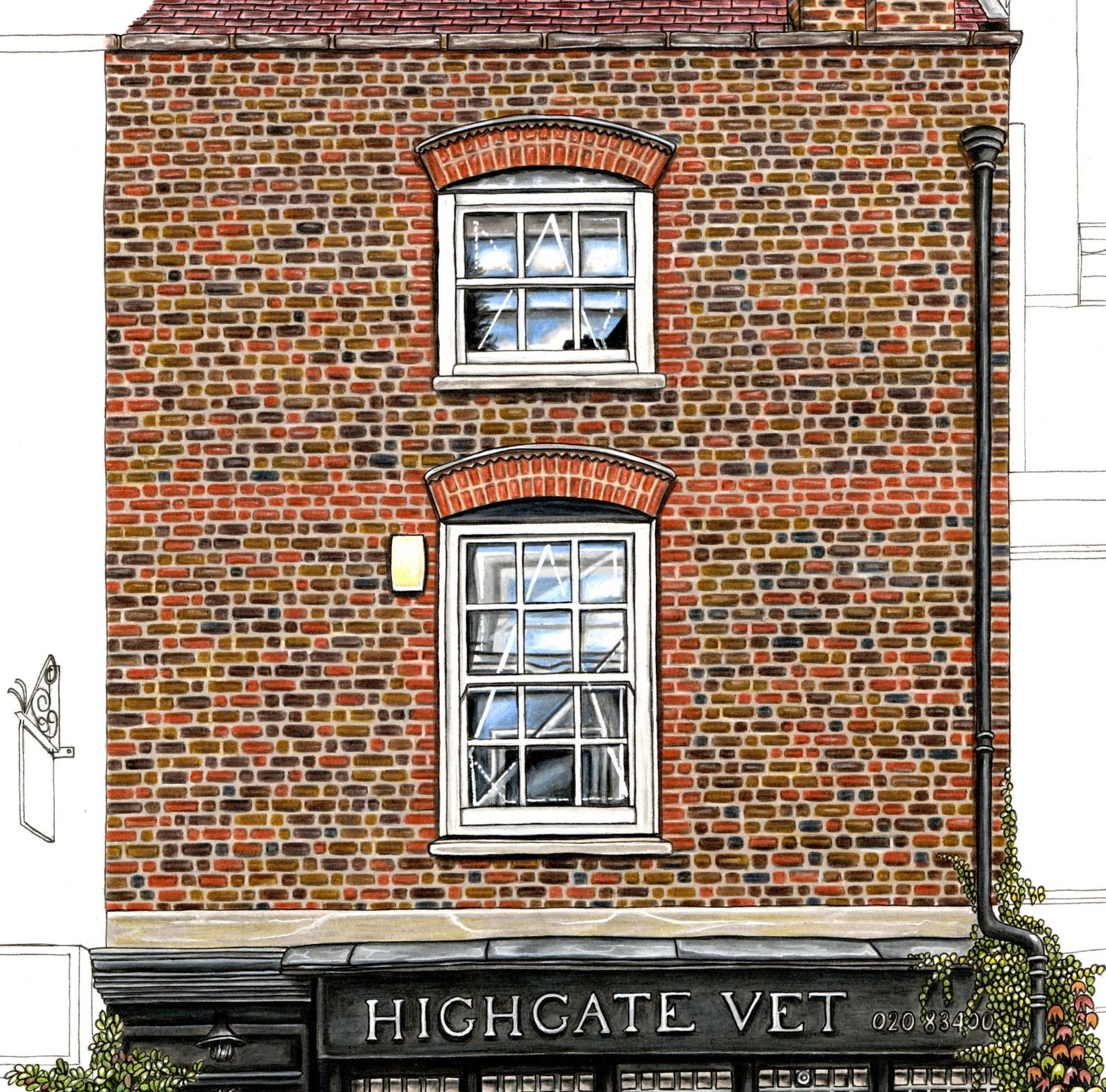 Hilatry+Sketches+-+Highgate+Vet.jpg
