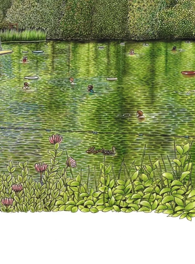 Hilary+Sketches+-+Kenwood+Ladies+Pond+%28lighter%29PSsquare.jpg