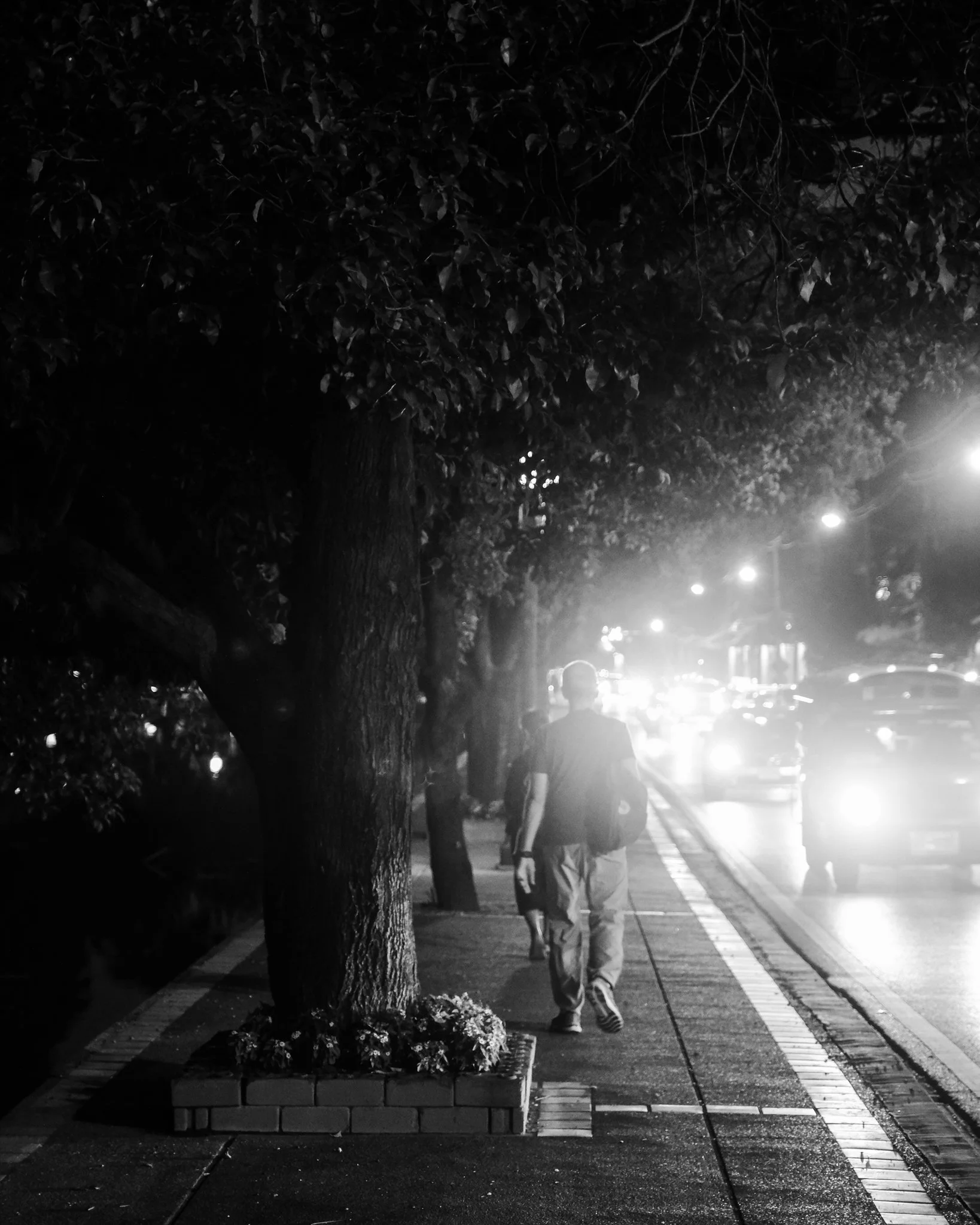 noel-flatters-photography-travel-bangkok-chinatown-2023-01-06-31.jpg
