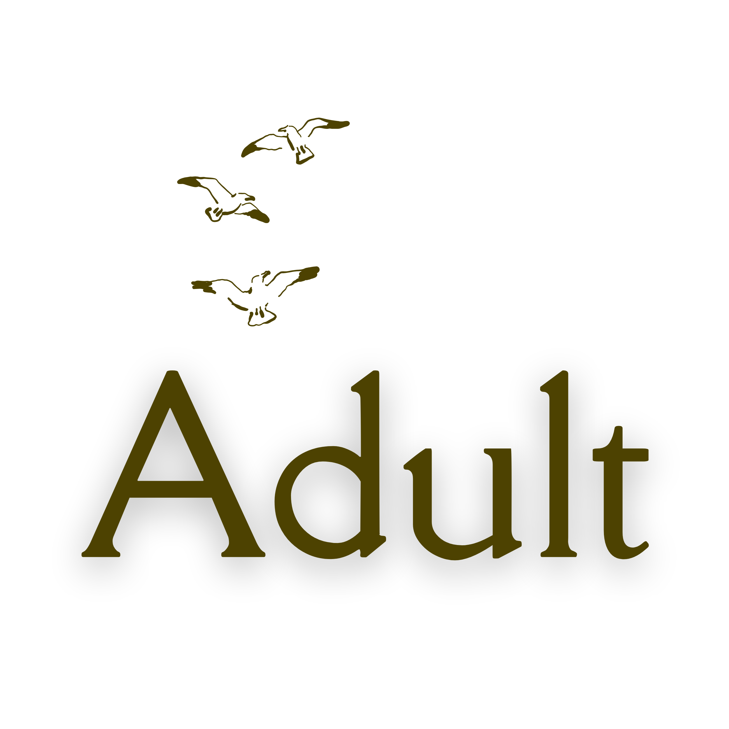 Adult acting classes for beginners in Brighton