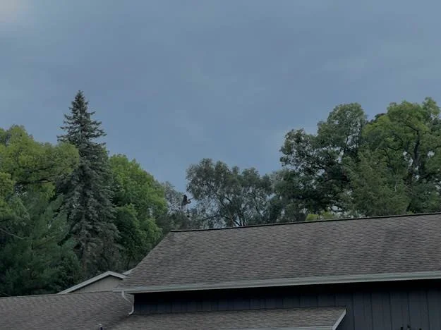 Paying for the Unexpected: The Real Costs of Emergency Repairs