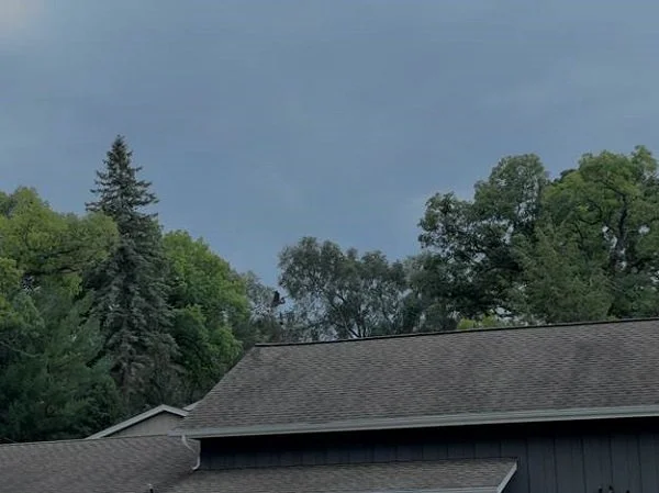 PNW Roofs A Guide to Materials