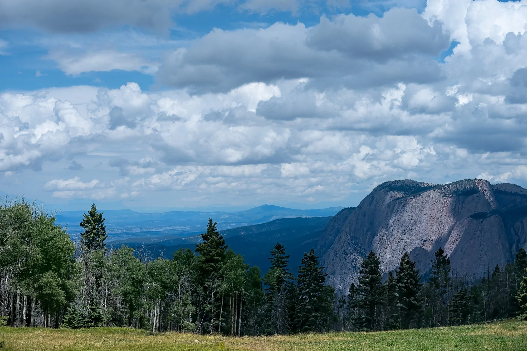 Brazos Peak in northern New Mexico rises over 11,200 feet (3,440 m) above sea level.