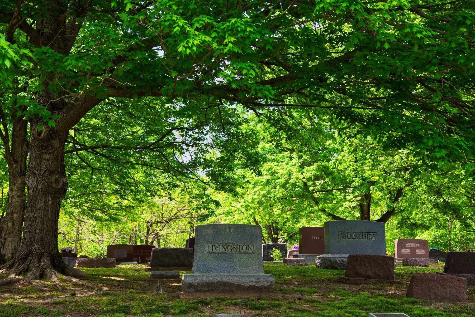 Oak Hill Cemetery in Lewistown, Illinois. The town was the setting for Edgar Lee Master’s poems in in Spoon River Anthology –a series of epitaphs revealing the hidden realities of small town life.   
    "The tender heart, the simple soul, the loud, 