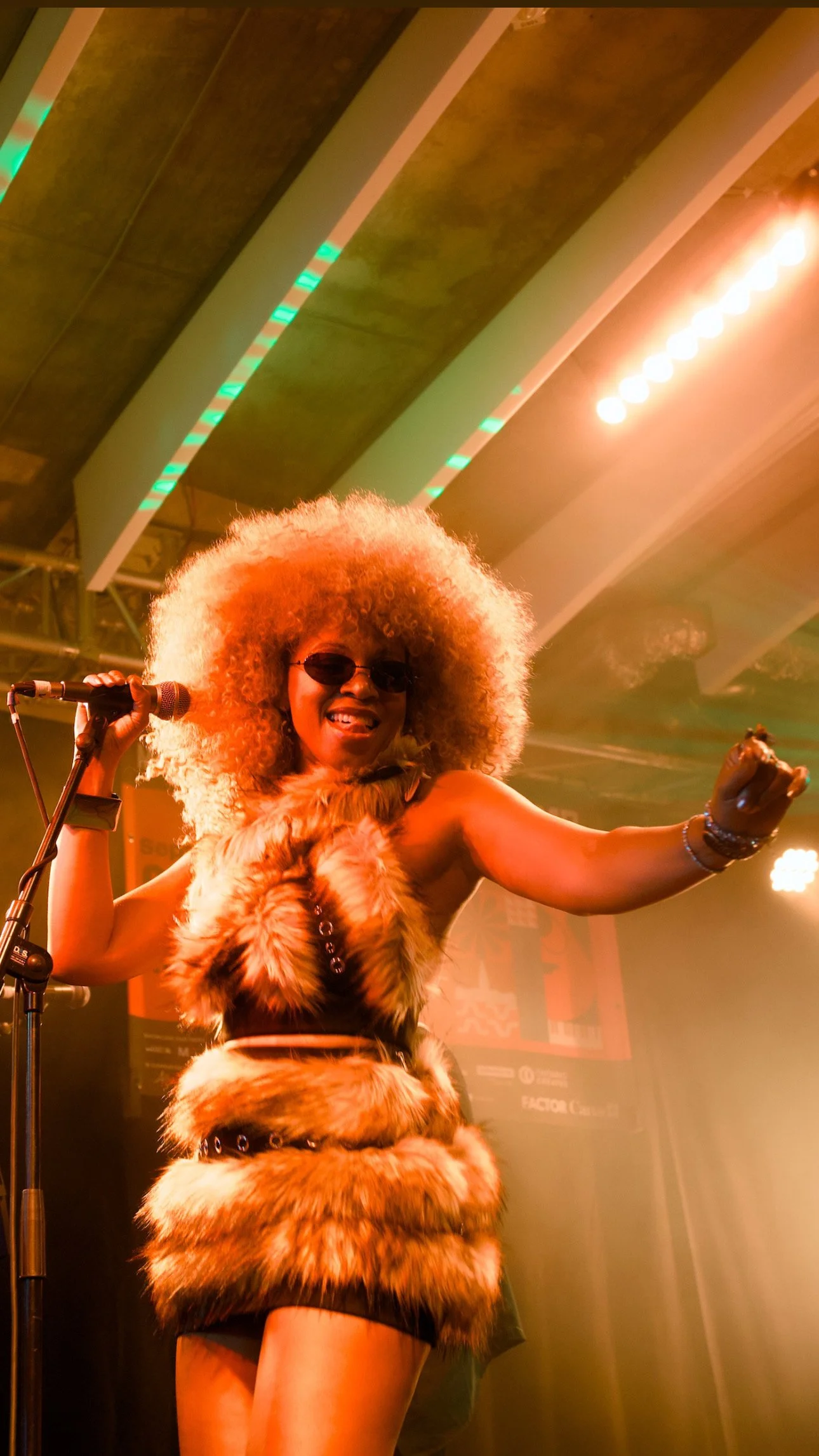 Ammoye faux fur performance look .JPG