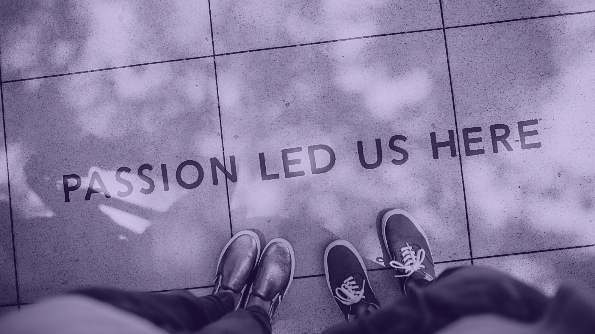 Why you should bet on your purpose.