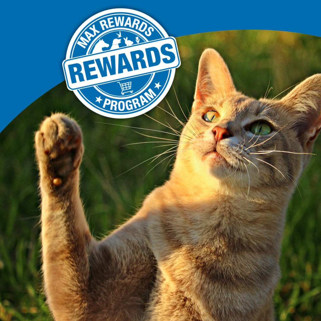 Max Rewards Social 5.19.22.jpg
