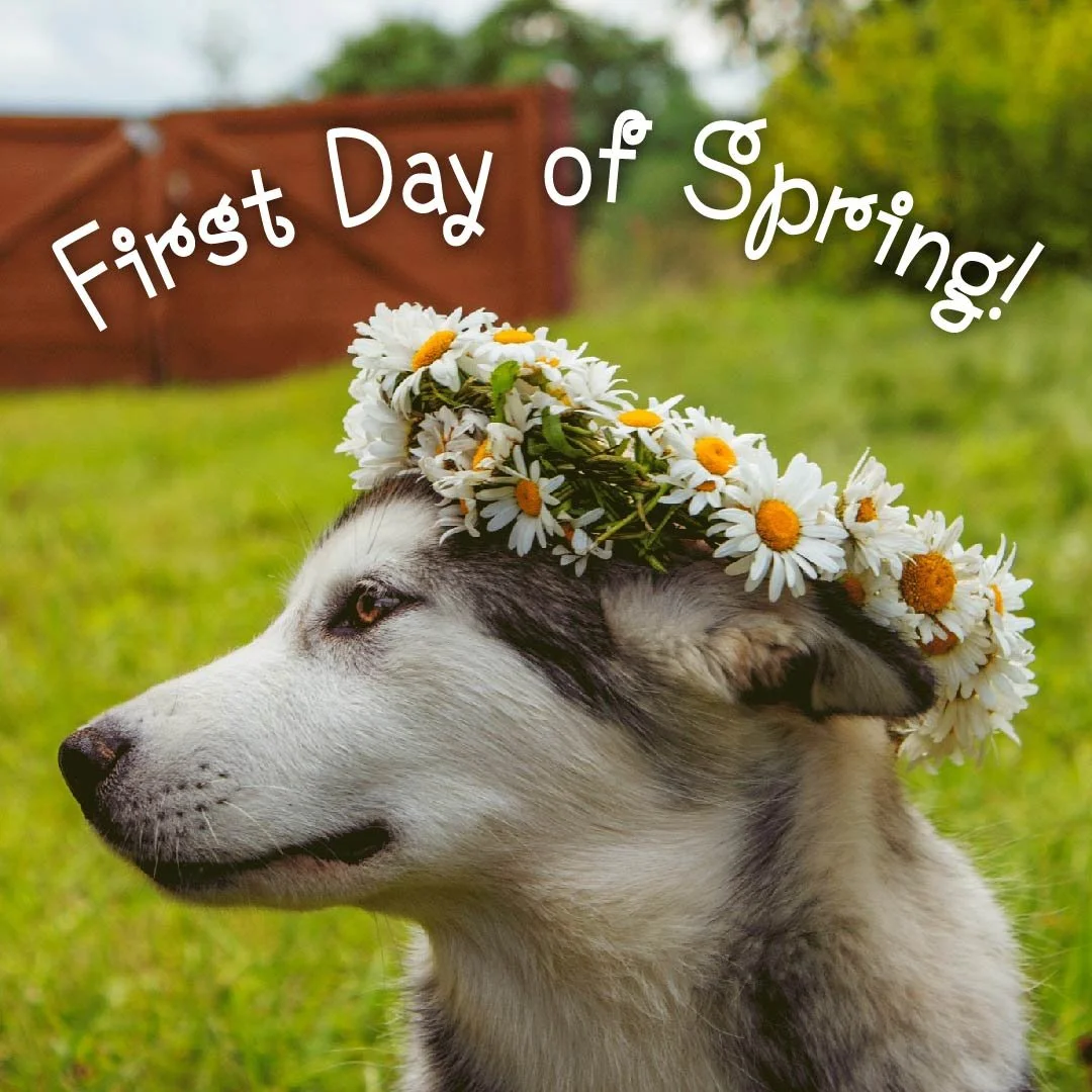 Spring Equinox Social.jpg