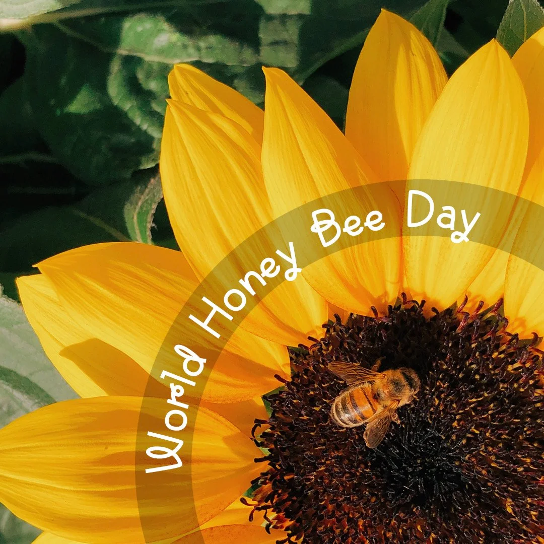 August Socials Week 3-42.jpg