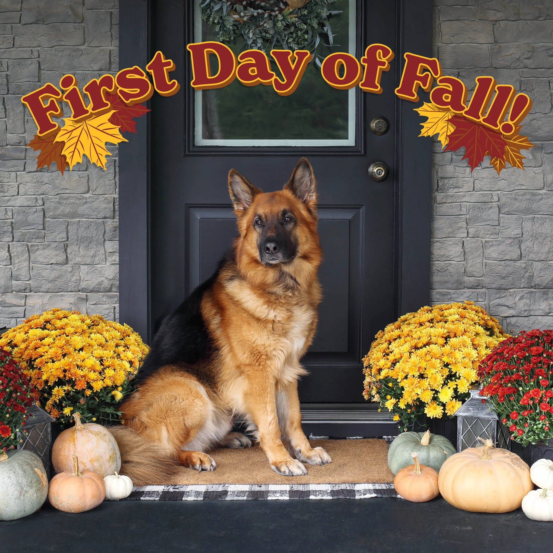 Social Media 9.203.jpg