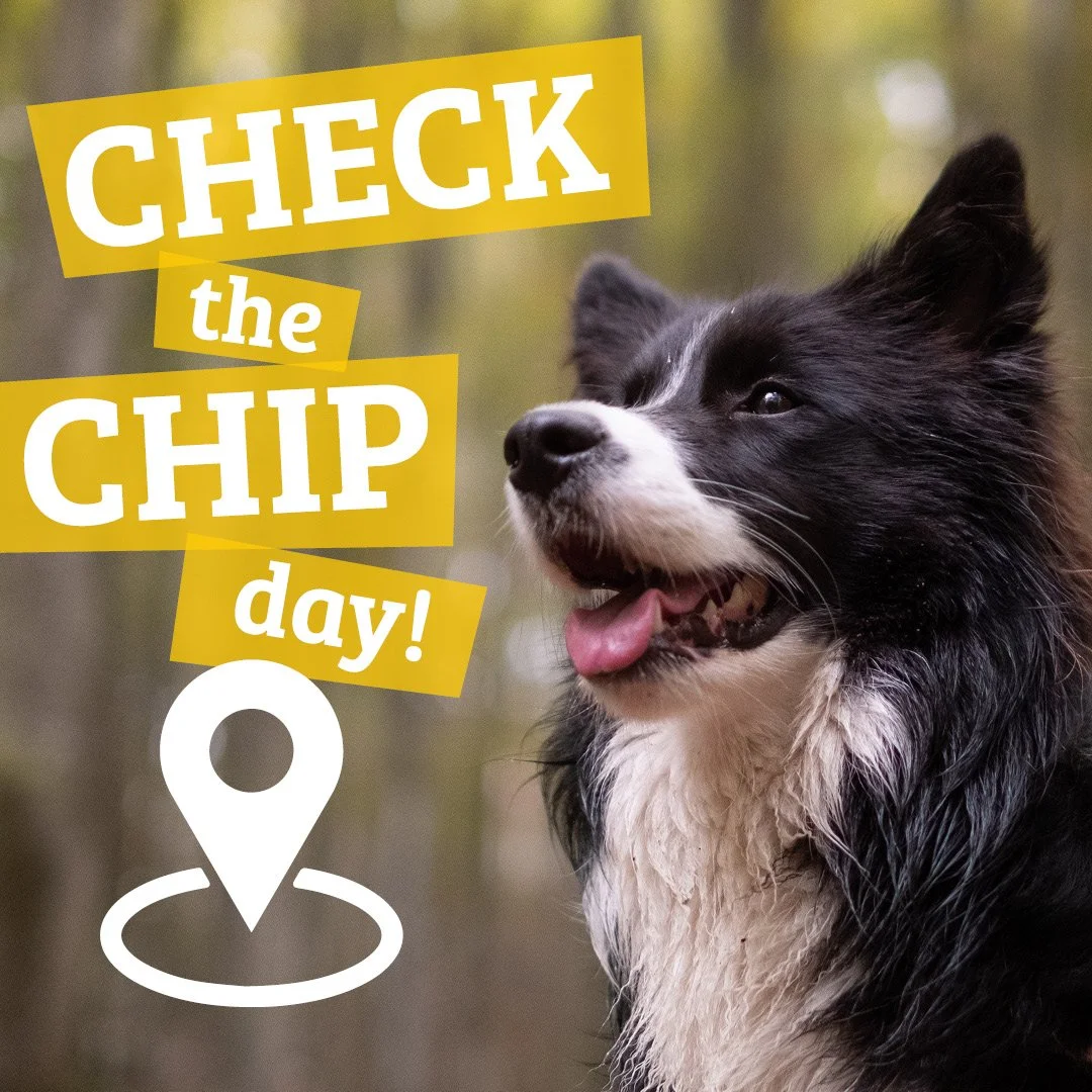 August Week 3 Socials3.jpg