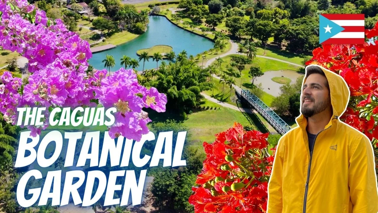 The Caguas Botanical Garden in Puerto Rico | Brik's Travel Guides ...