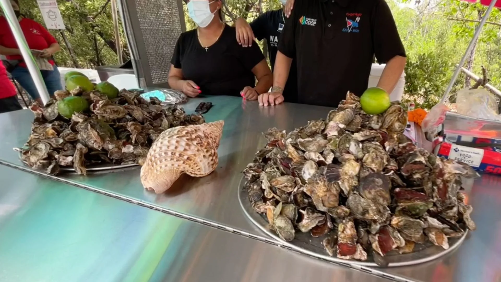 The Ultimate Cabo Rojo Travel Guide Brik's Travel Guides Puerto