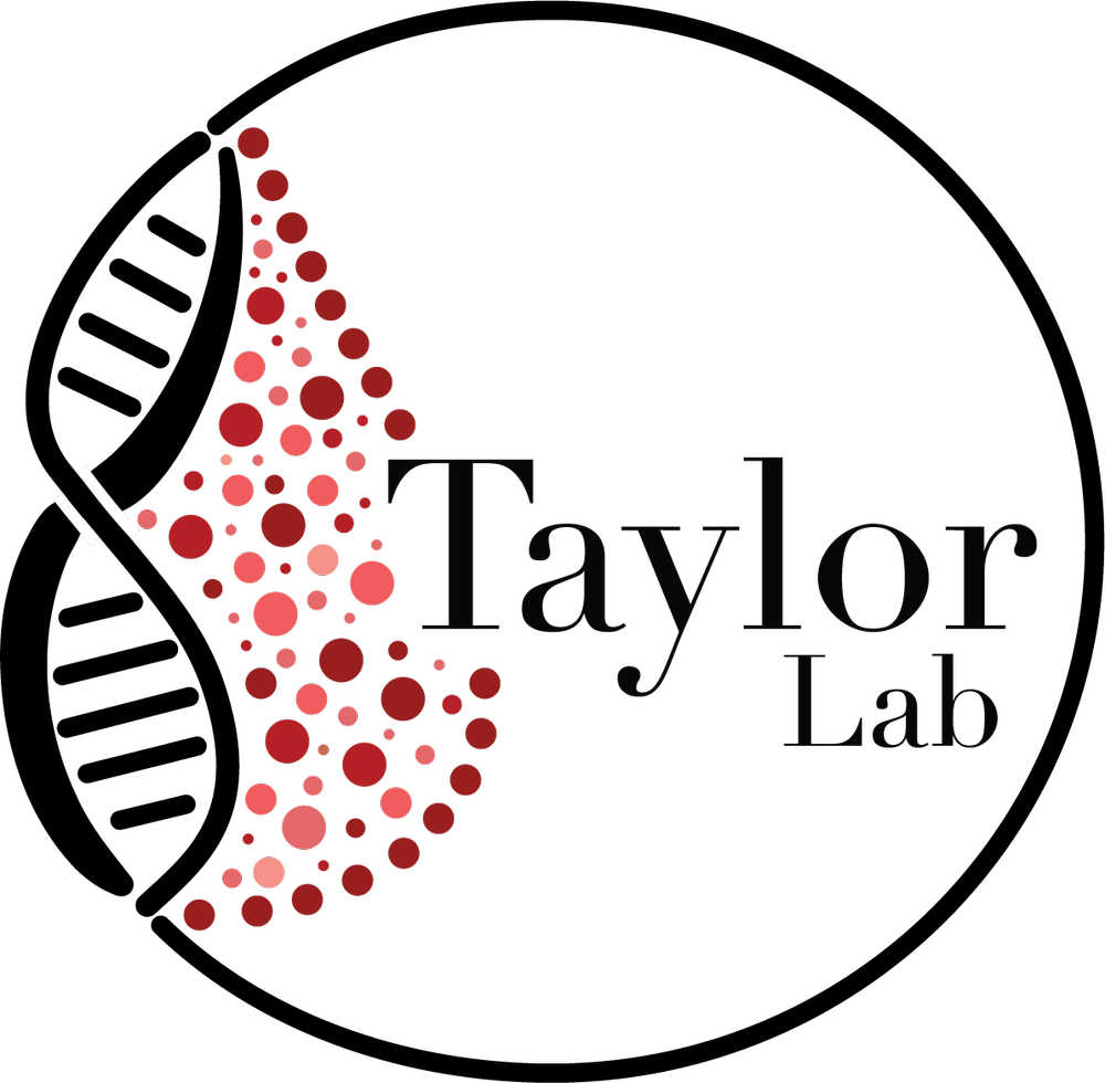 Taylor Lab