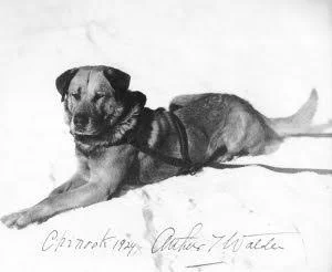 Chinook Exhibit Open 