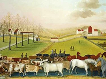 Sustainability: An American Literary History