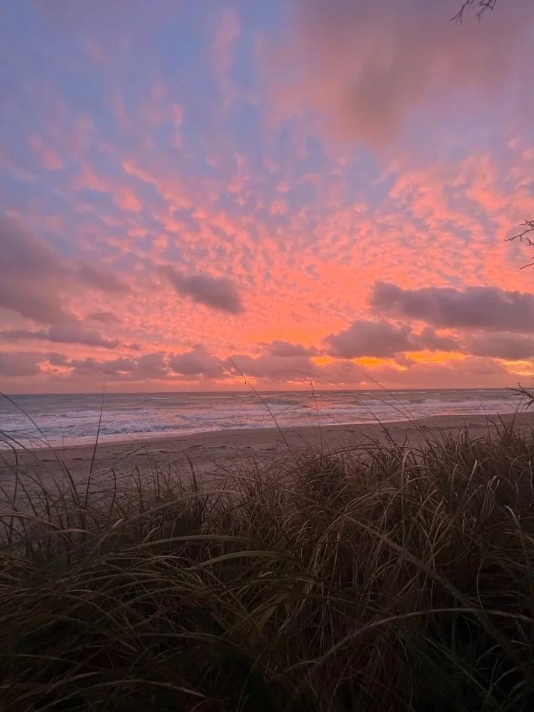 Nervous System Reset in Delray Beach: Why the Body Holds Stress — and How It Releases It