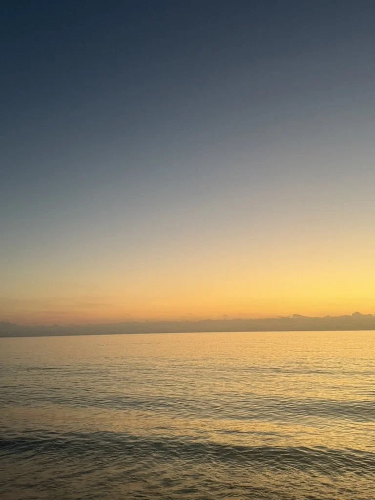 The Power of Alignment: The 1st Step to Wellness
