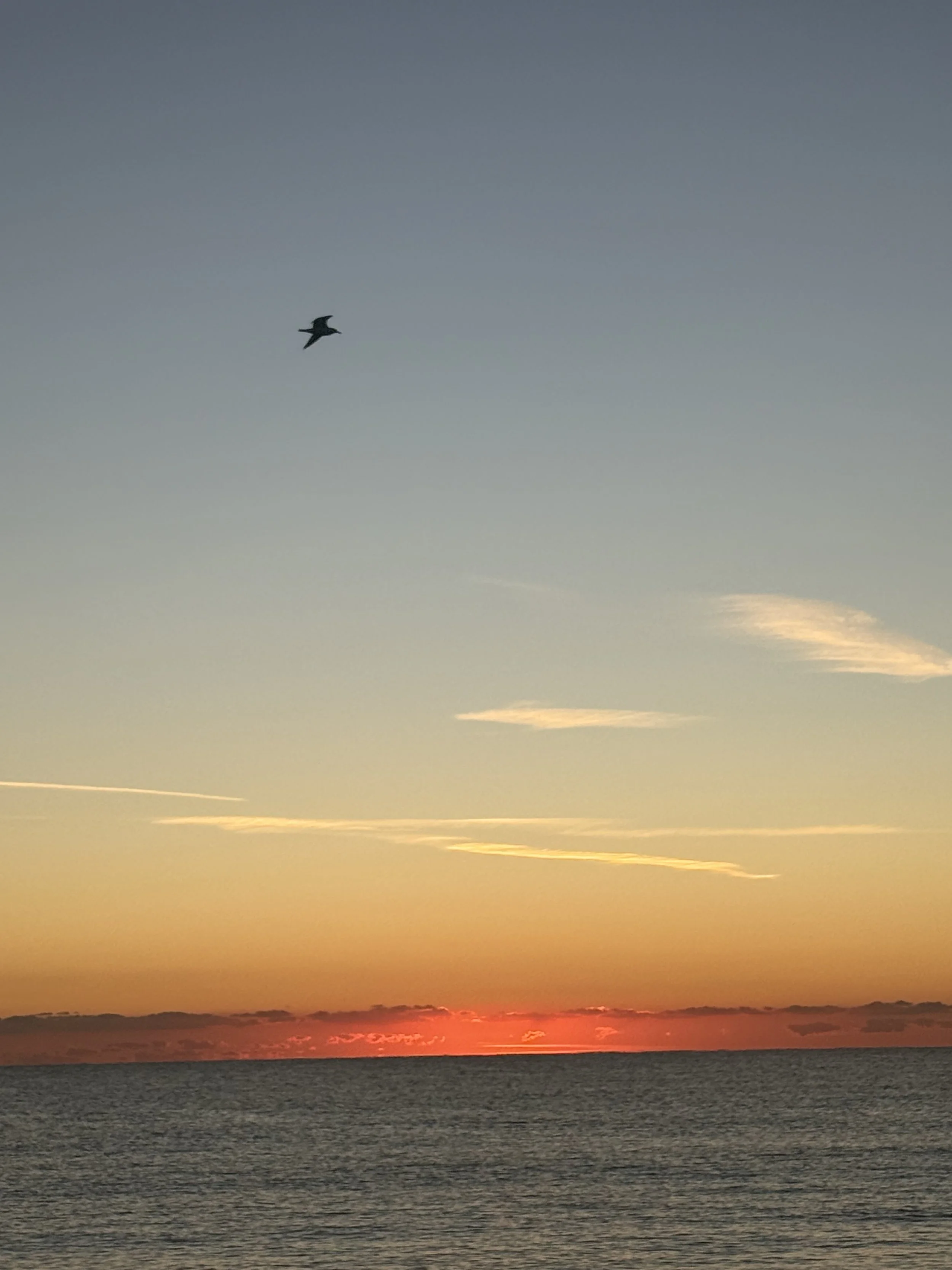 Stress Management for Teams, Groups, and Organizations: Why Alignment Matters