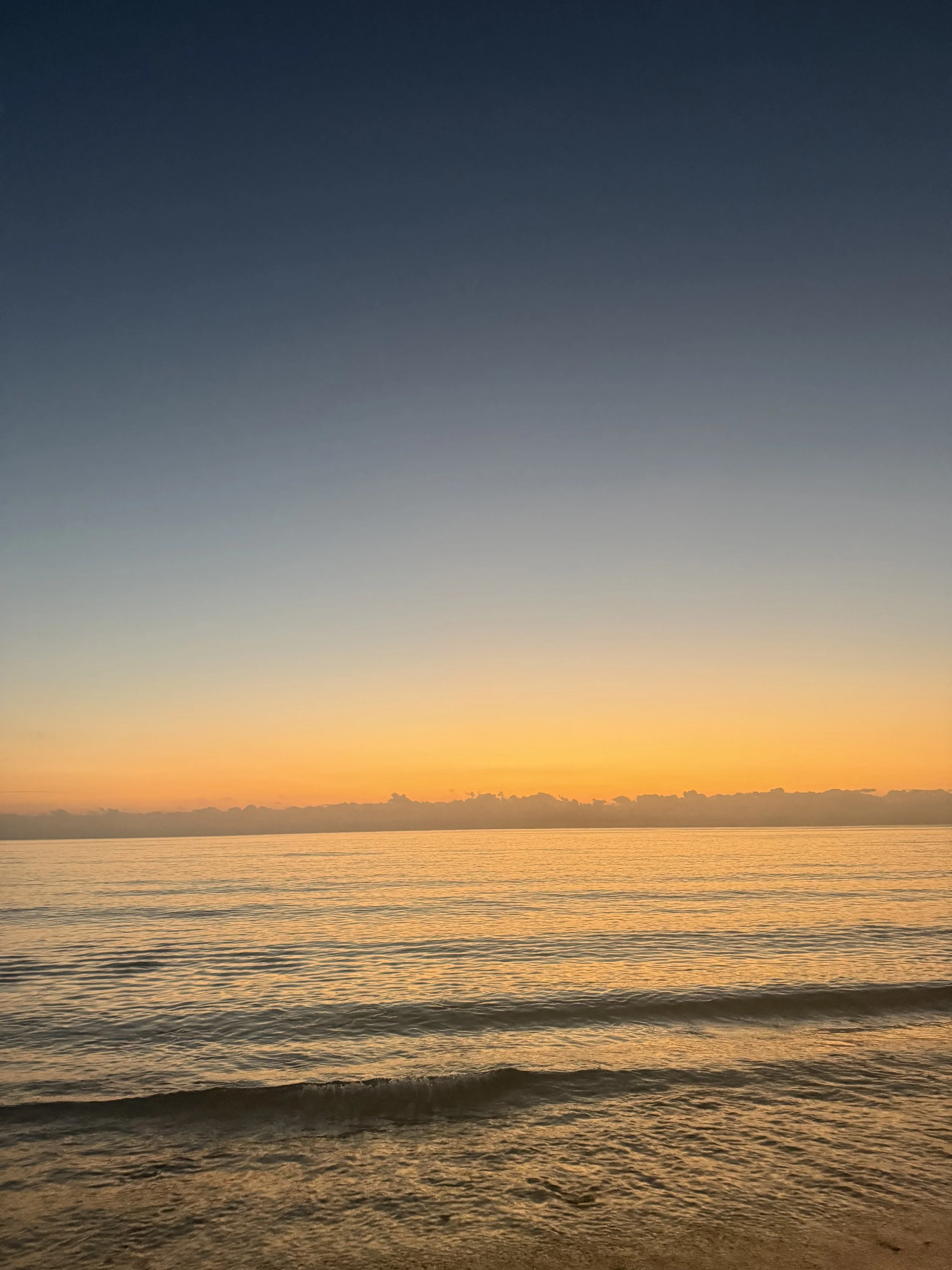 Alphabiotics: A Nervous-System Reset for Stress, Performance, and Whole-Body Balance