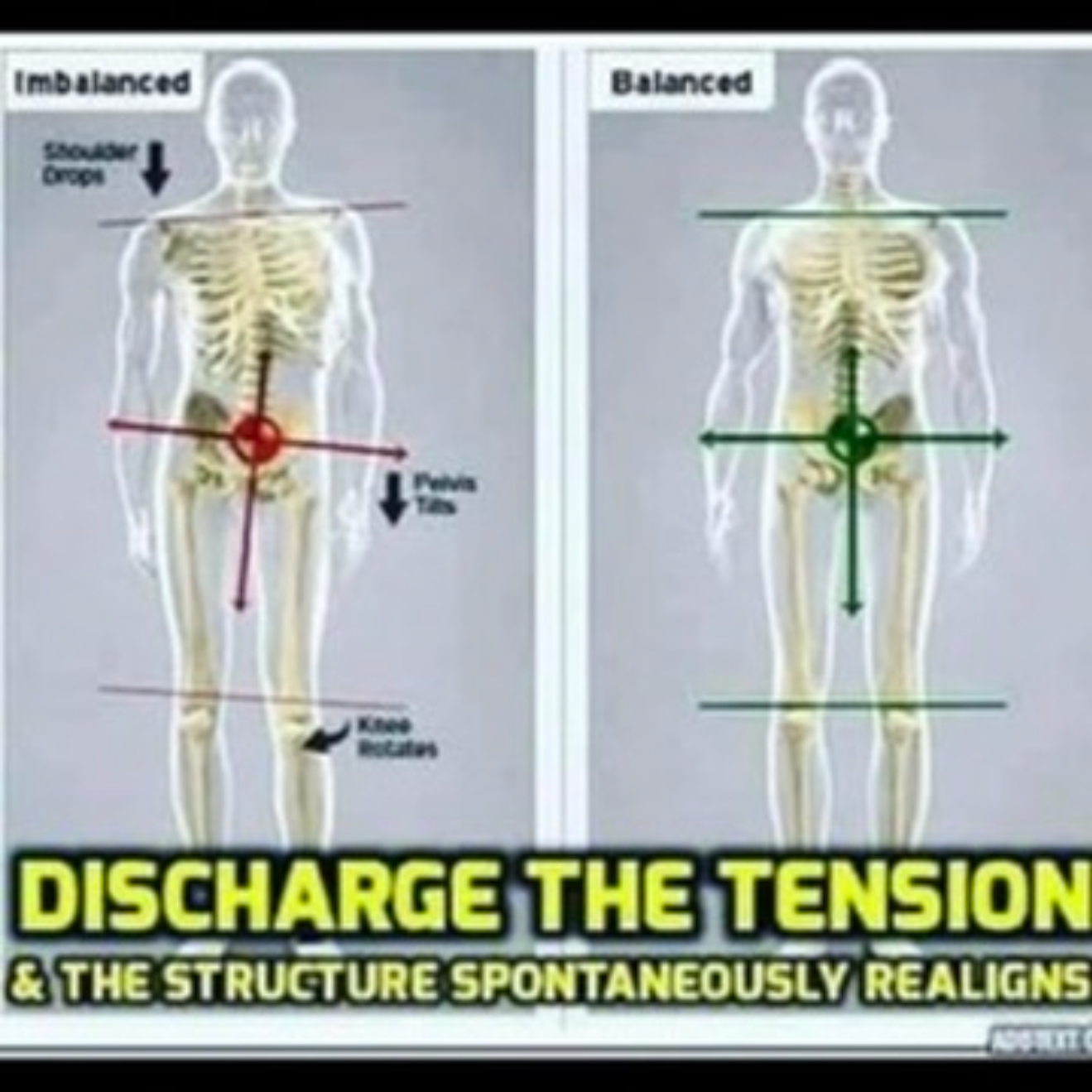 Why the Body Spontaneously Aligns When Tension Is Discharged