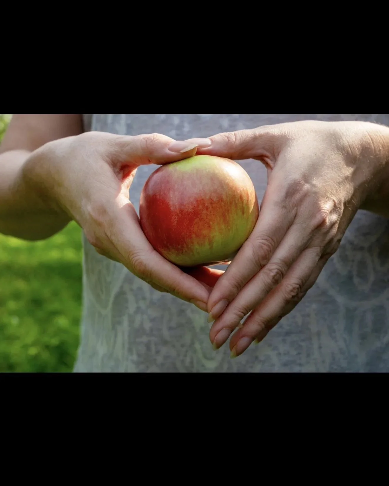 Digestion Begins Before the First Bite: The Missing Piece Most Wellness Conversations Overlook