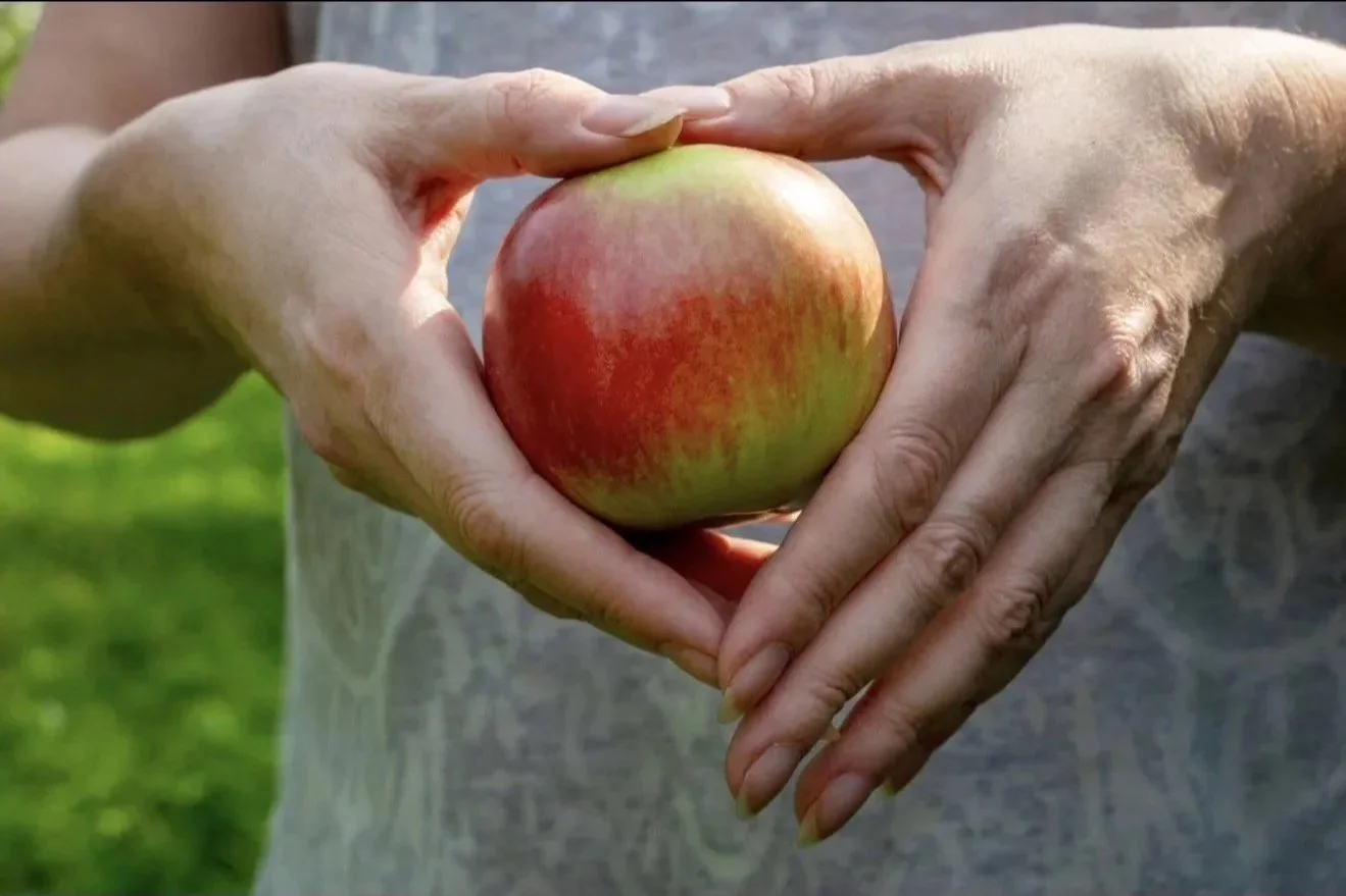 Digestion Begins Before the First Bite: The Missing Piece Most Wellness Conversations Overlook