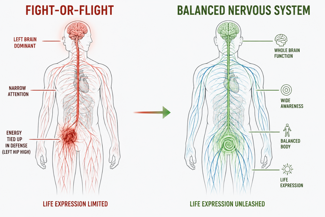 How to Get Out of Fight-or-Flight Mode