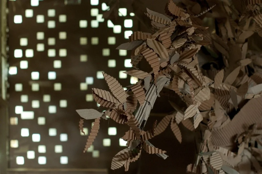 Ciudad de exportacion 5.jpg