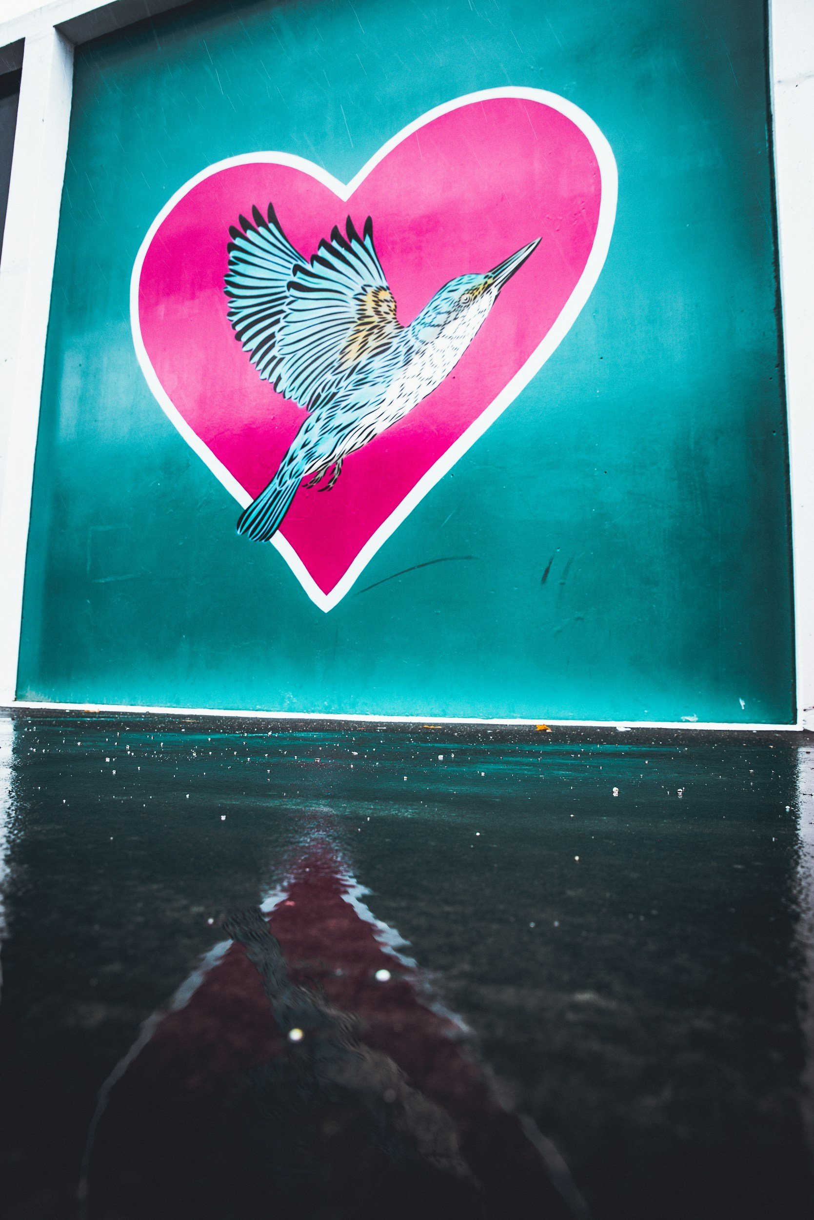 Hearts Were Made to Soar