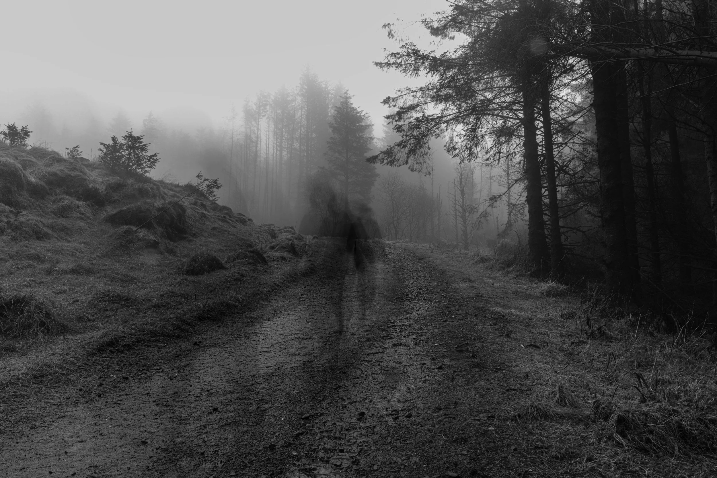Vanishing Wishes