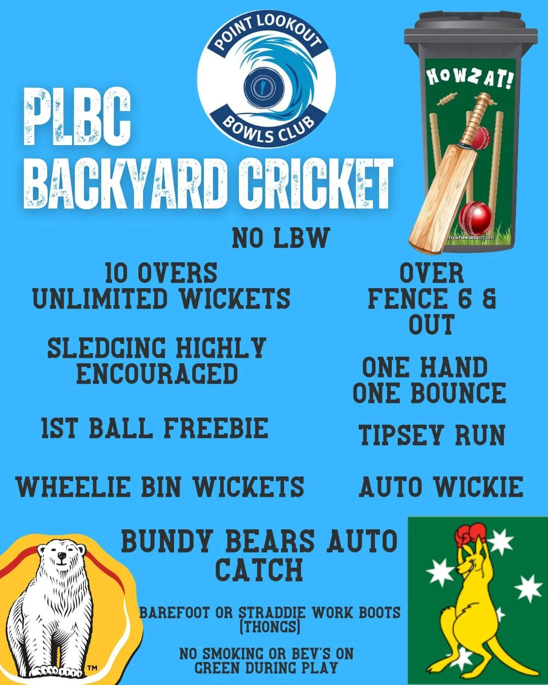 Backyard Cricket.jpeg