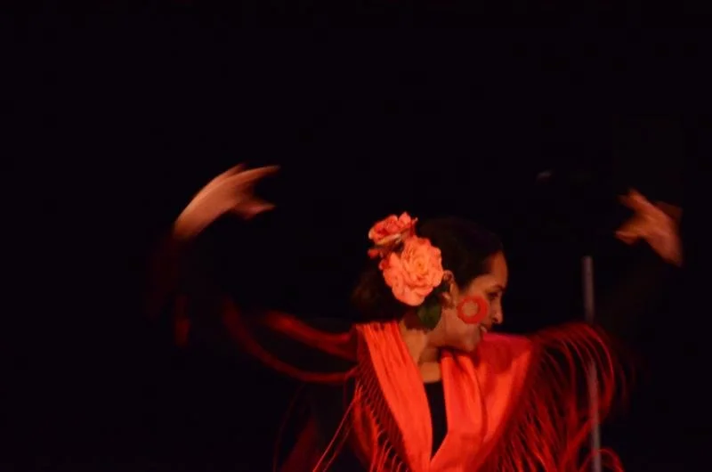 1. The first step into flamenco