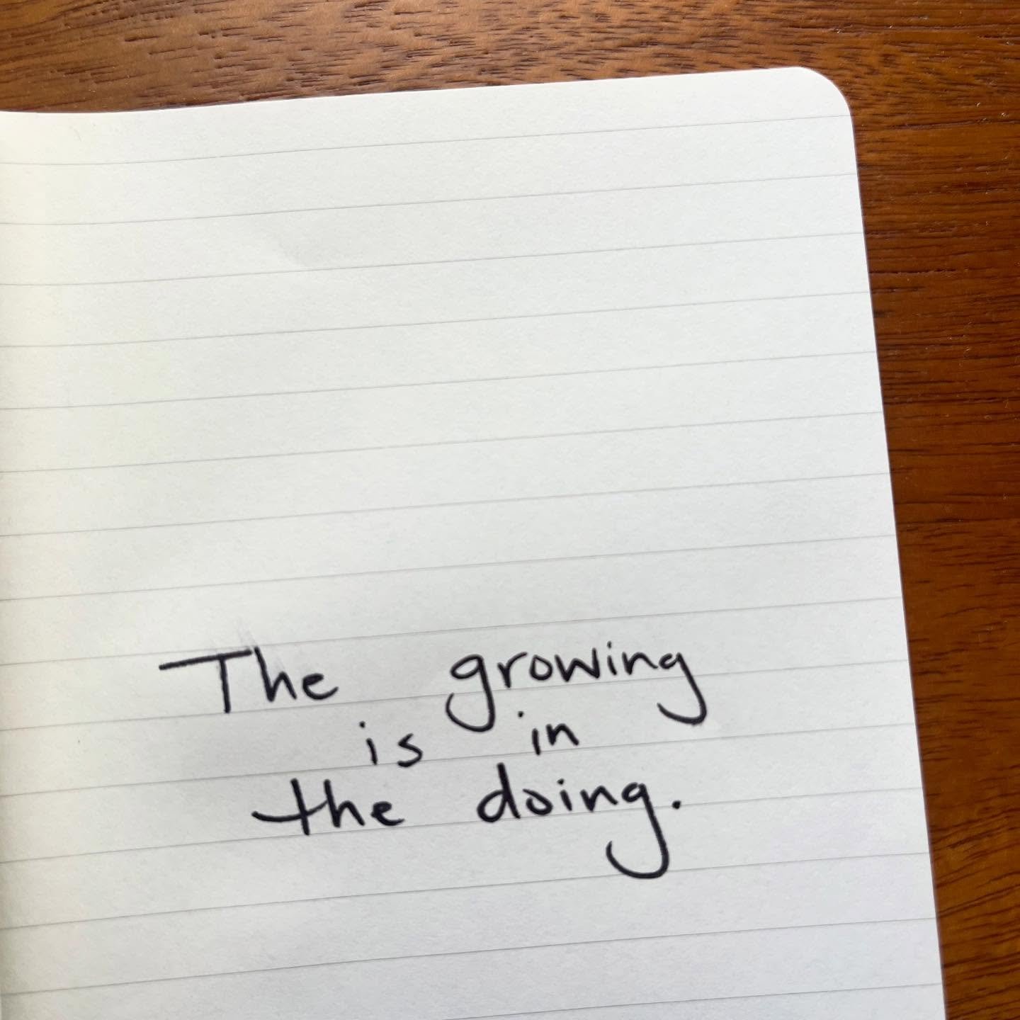 Some favorite lessons from the Fall. About coming and going (and sometimes not going), giving and receiving, knowing and growing. Also, only just now seeing some of the ways these go together even though they were all separate days. 

And yes this no