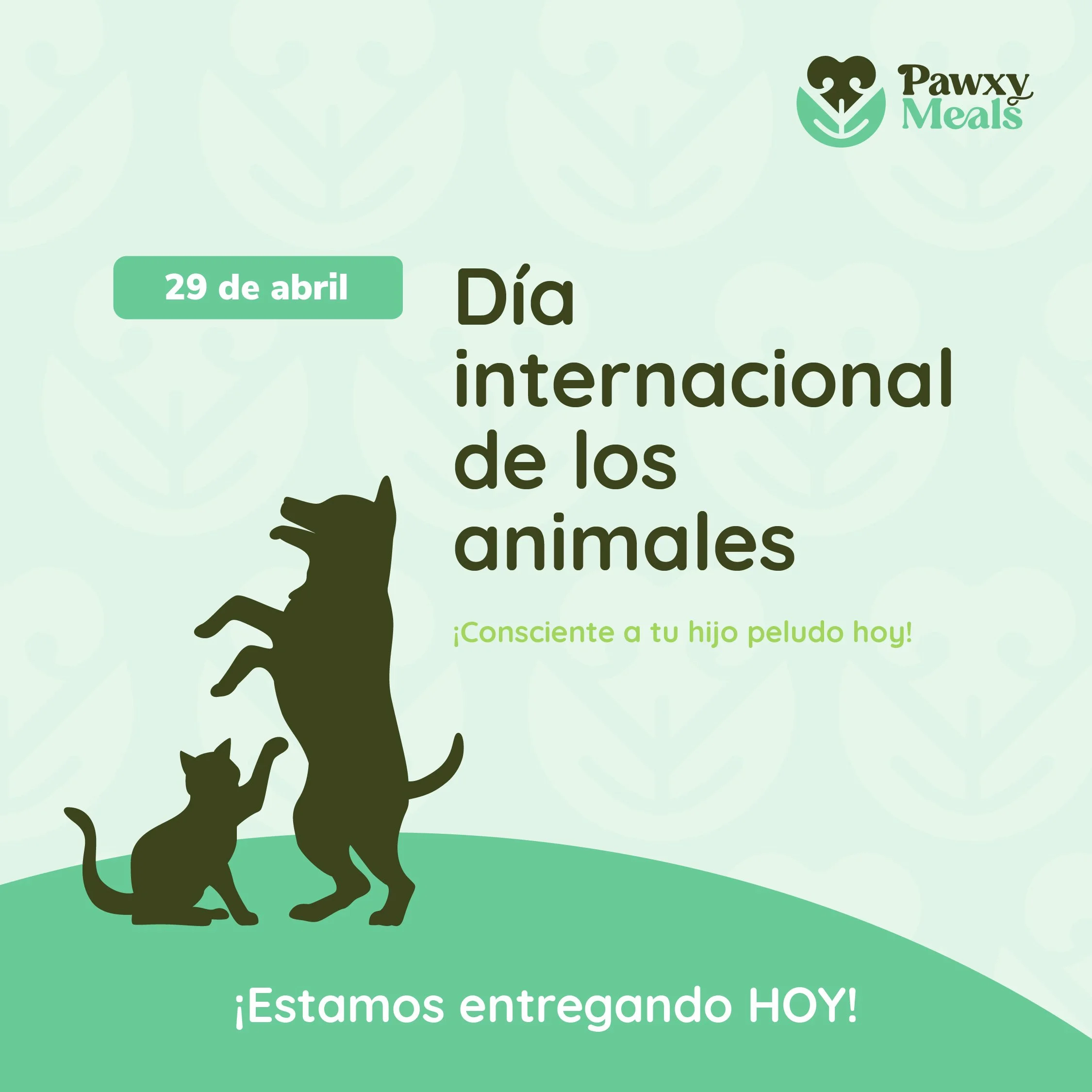Social Media - Pawxy Meals-06.jpg