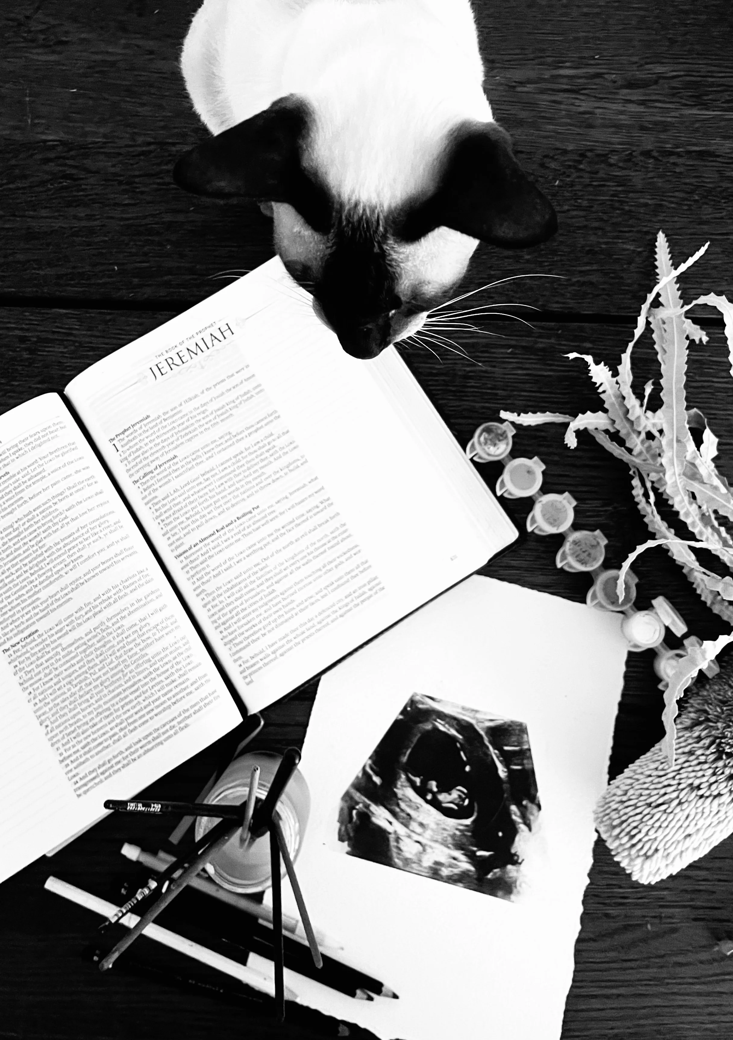 Black and white photo of an open Bible with the title 'Jeremiah', a small model plane with a string attached, a page with a mountain landscape, a white piece of paper, and a container of markers on a textured dark surface.