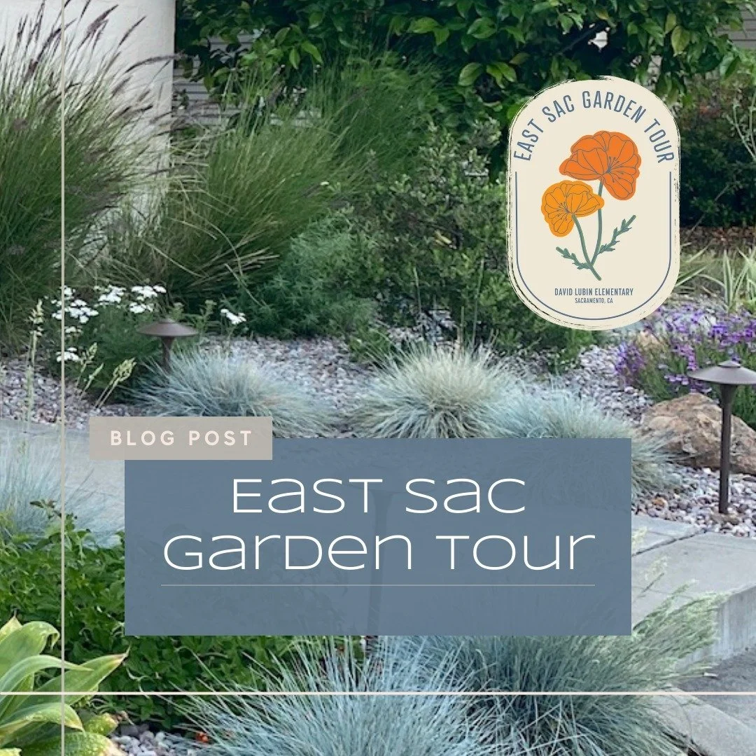 🌼Tickets for the East Sac Garden Tour are now available for purchase! This lovely neighborhood annual event is one not to miss. Check out our blog post linked from our profile for more information. Hope to see you there! 

#sacramentocalifornia #sac