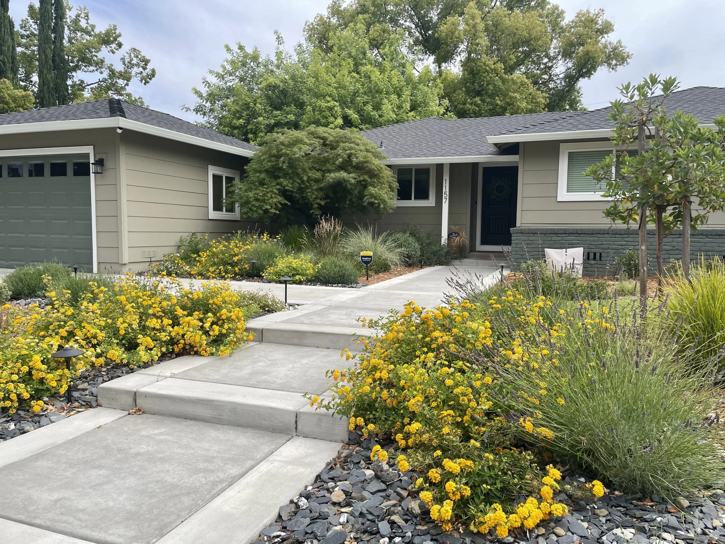 Drought-Tolerant Makeover
