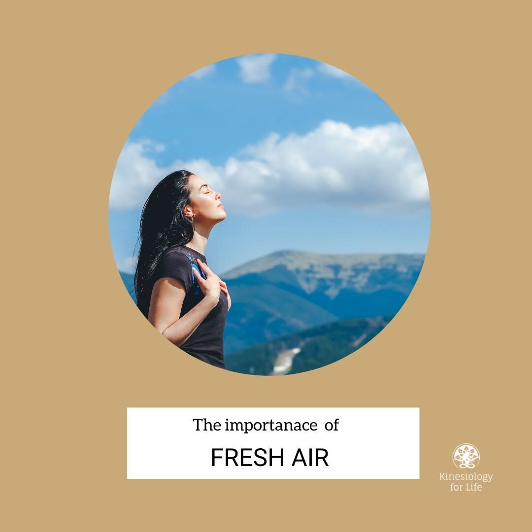 🌳 FRESH AIR

Getting fresh air allows your lungs to work at full capacity and sends oxygen to your brain.

Spending time outdoors especially in green spaces has a profound effect on lowering our stress levels.
Its the balance of our lifestyle that s