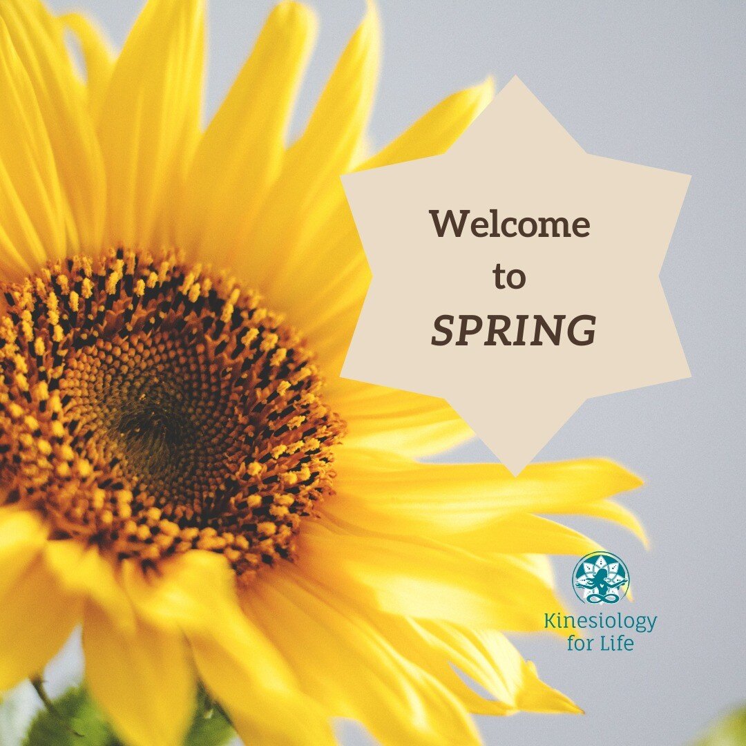 🌼🌱 Spring is time for &quot; Growing the seeds&quot; 🌱🌼
Spring is about growth
In Kinesiology we work with the Traditional Chinese Medicine principles where Spring represents the &quot;Wood&quot; element.

The Wood element represents the Liver &a