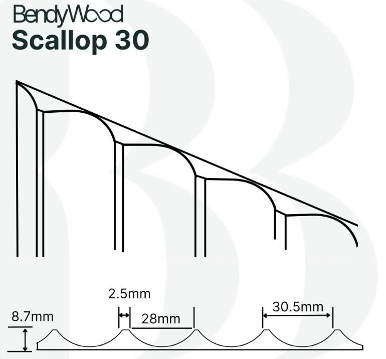 scallop 30 radius profile.JPG