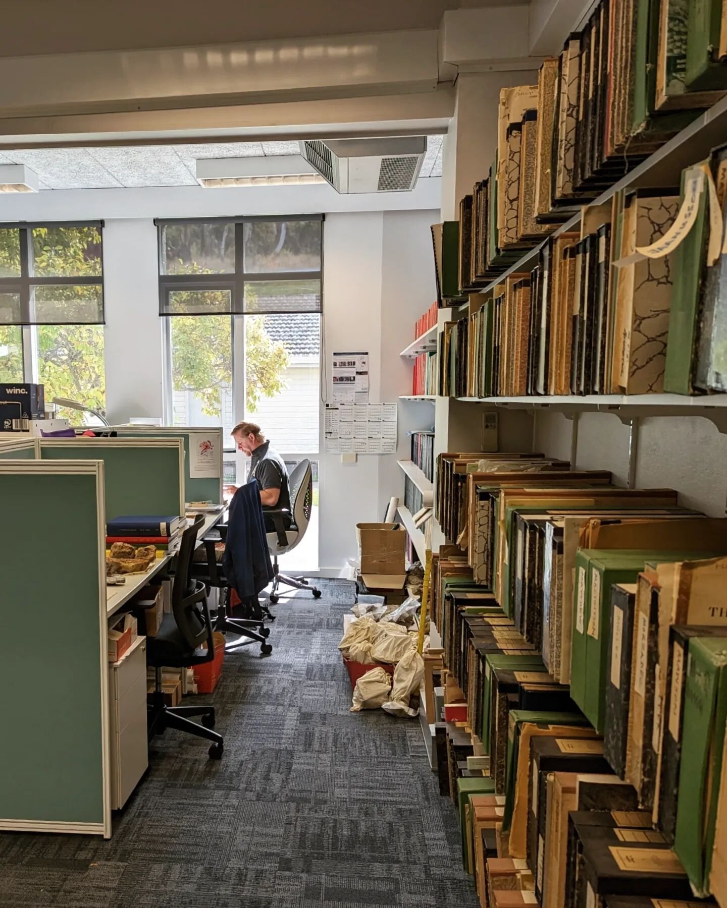 LLUNE PhD student Damien Wilkinson in the zone. You get to a stage in the project where you're fighting for more desk (and floor) space for all those precious samples!
---
We have lots of exciting student projects available, don't hesitate to get in 