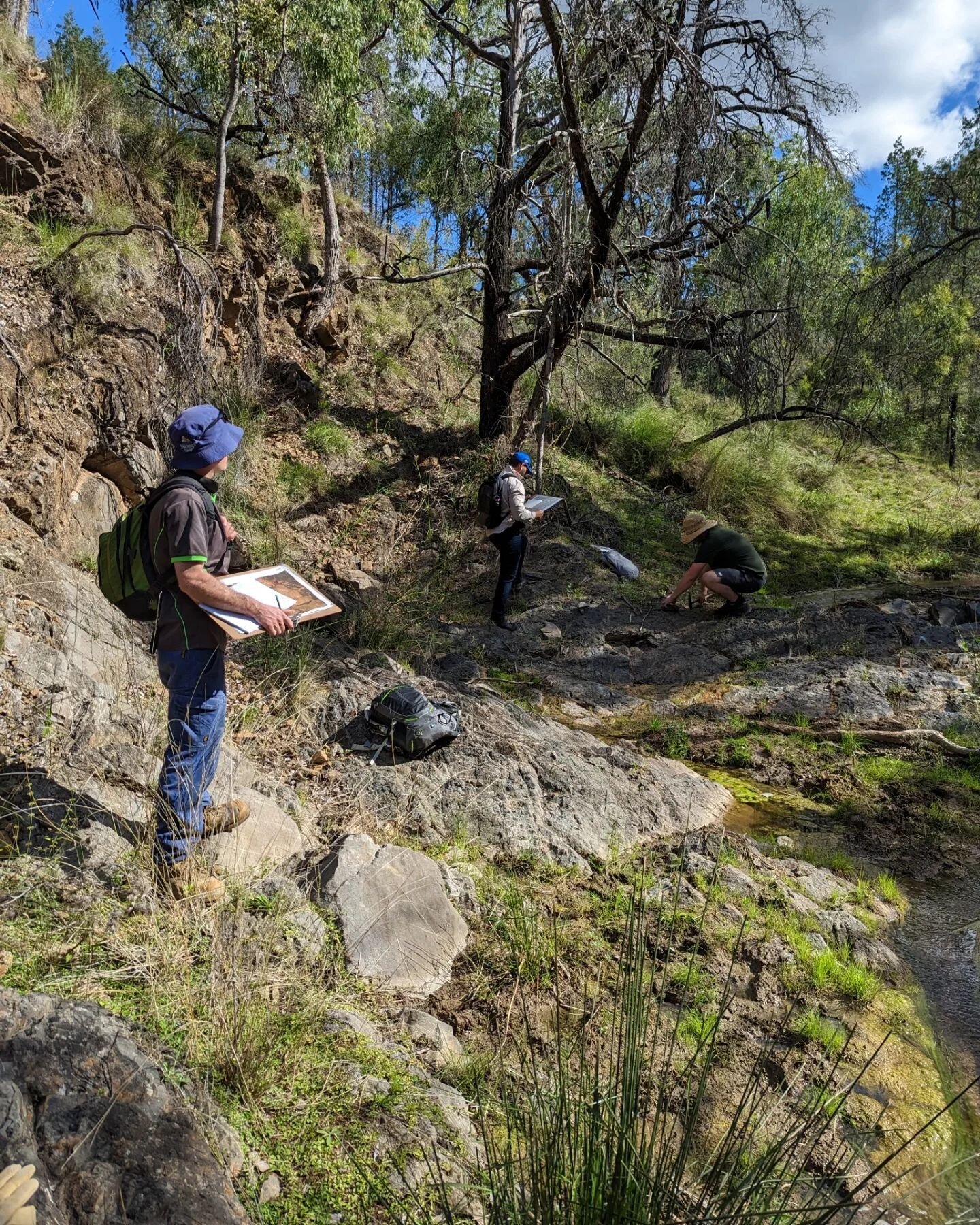 GEOL206 trip to Lake Keepit! First geological mapping exercise... Love watching it all come together for the students! 😎⛏️🪨🧭 #geoscience #geology #geologicalmapping #fieldtrip #rocks #fossils #lakekeepit #geologicalstructures