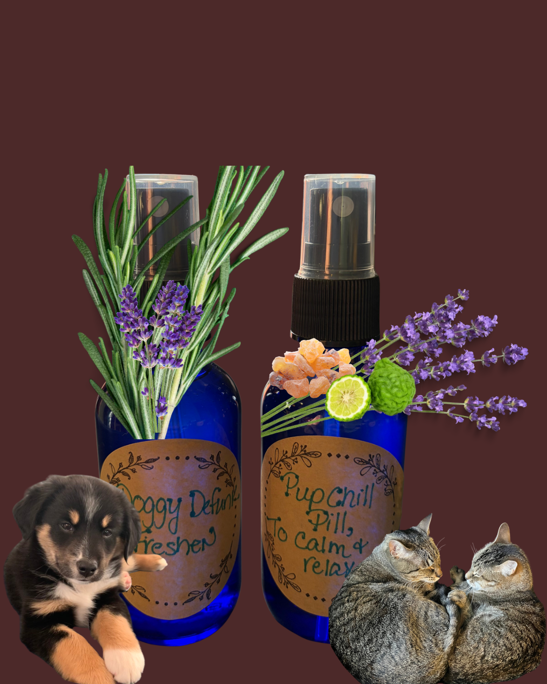 Pet Essential Oil Blends