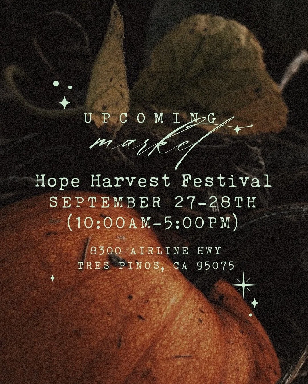 Just a little over a week to go before our first fall-winter market: the Hope Harvest Festival!
🎃
We&rsquo;ll have all of our usual selection including tea sampler gift boxes and the debut of several (if not all) of our upcoming 2025 limited edition