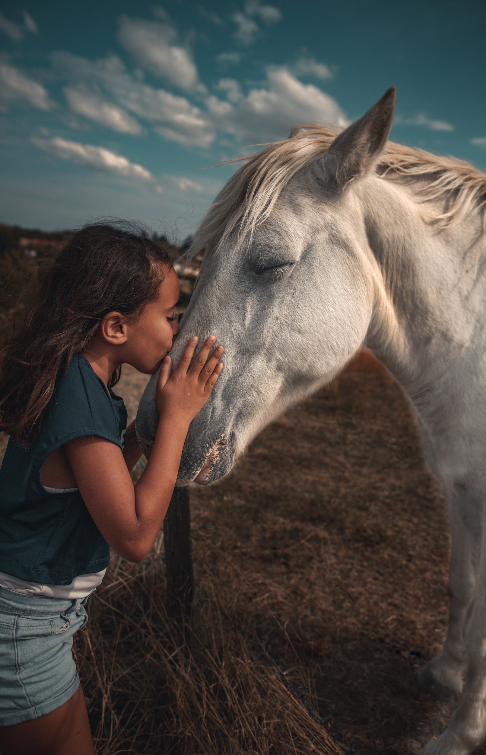 Healing Horses: Horse Therapy for Children and Teens