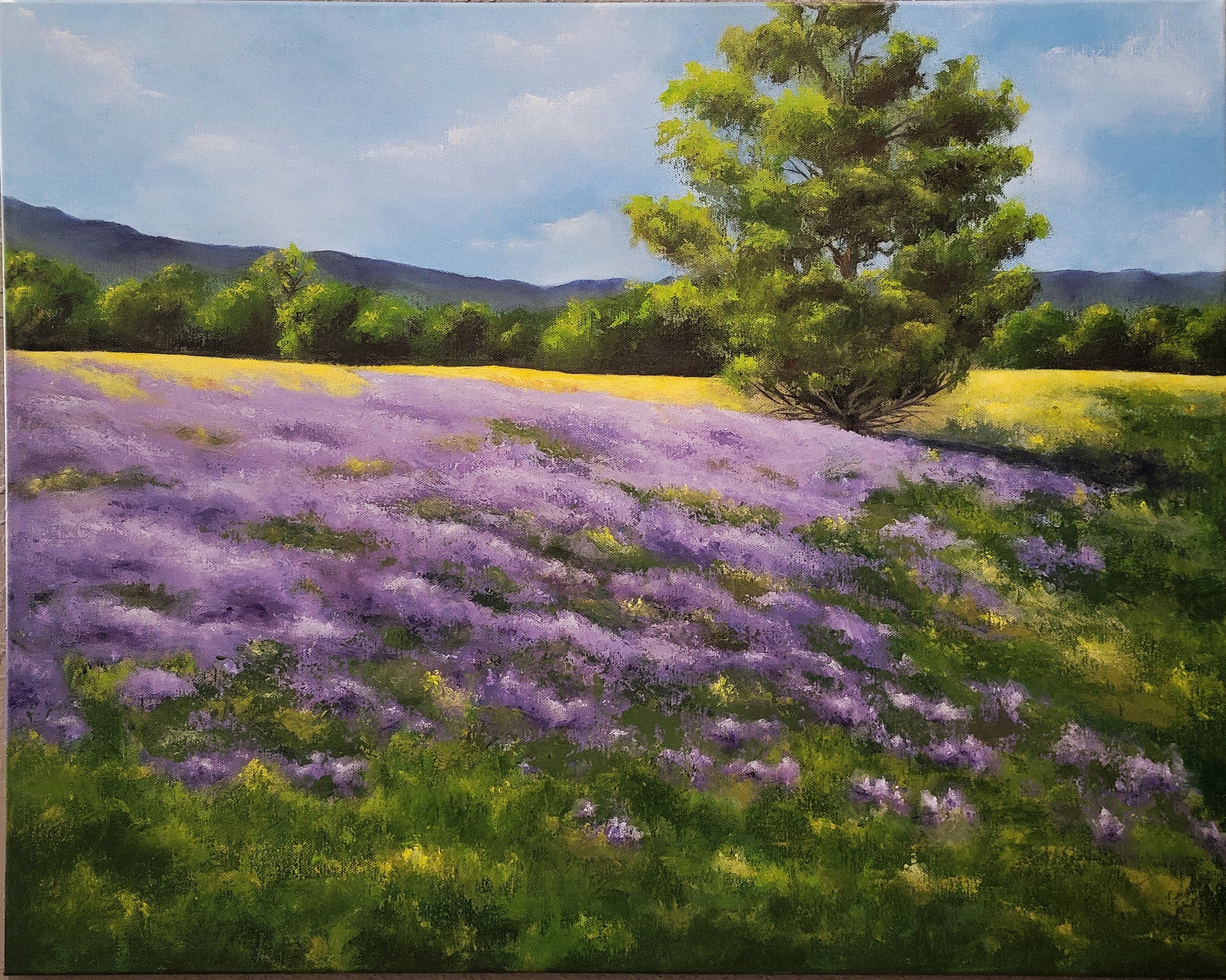 LUPINES AND MUSTARD