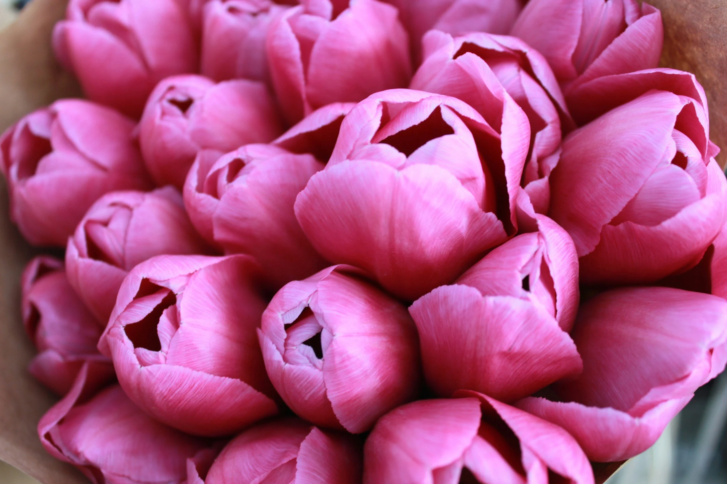 The Stories Culture Tells Us